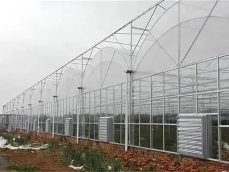 湖南蔬菜种植基『地环境空间通风降温案例